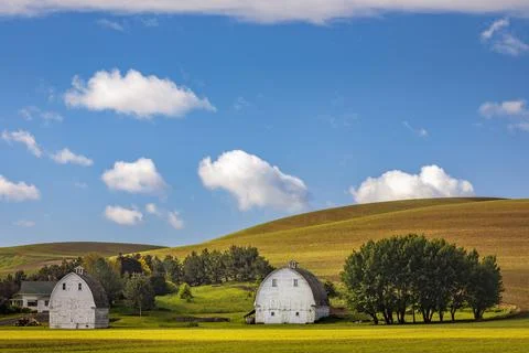Two White Barns Stock Photos