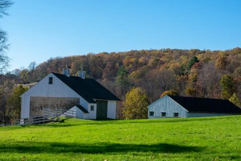 Two White Barns With a Tree Covered Hill in the Background at Valley Forge Stock Photos