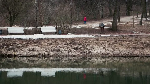 Two white benches on the riverbank are reflected in water, woman passes by Stock Footage 190852935