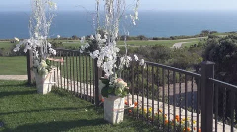 Two white brushes of flowers 스톡 동영상 12118662