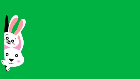 Two white bunny looking from hole on green screen animation for easter day Stock Footage 266787625