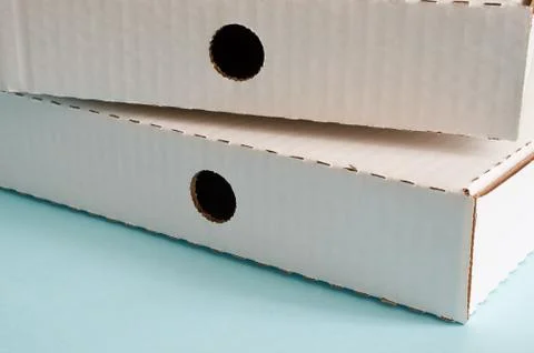 Two white cardboard pizza boxes Foto stock