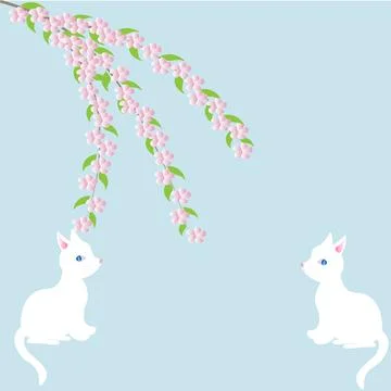 Two white cats are sitting and looking at a cherry blossom on a blue backgr.. Stock Illustration