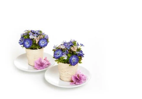 Two white cup with flowers inside on a white background Stock Photos