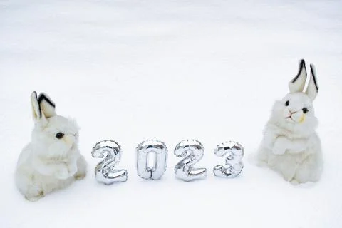 Two white cute and fluffy bunny toys with silver numbers 2023 on the snow Stock Photos