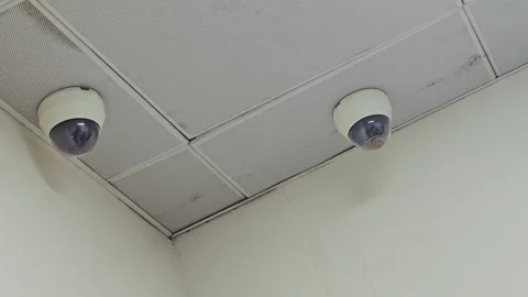 Two white dome security cameras mounted on a drop ceiling in a corner. Video stock 334152198
