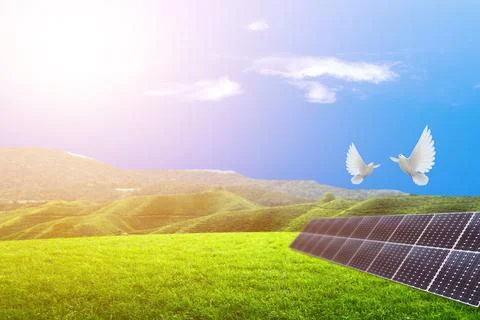 Two white doves fly on a solar panel in a wide meadow. Stock Photos