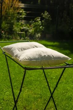 Two white down pillows are dried or ventilated in an open air in the garden. Foto stock