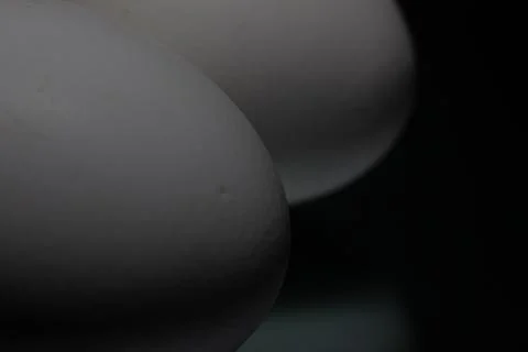 Two white eggs are reflected on a black background Stock Photos