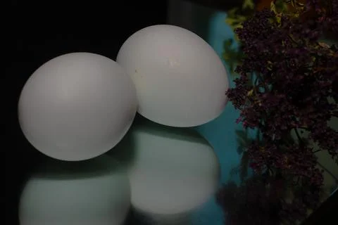Two white eggs are reflected on a black background Stock Photos