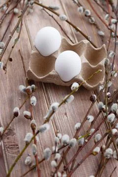 Two white eggs in box and willow branches on wooden background Stock Photos