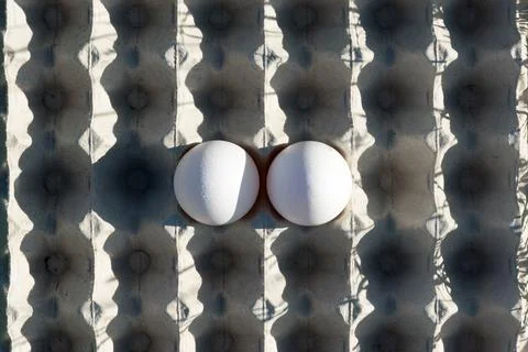 Two white eggs in the center of the package Foto stock