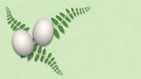 Two white eggs on green textured background with three green plants leaves Stock Footage 306076645