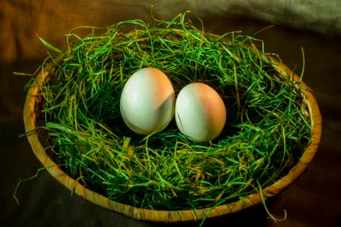 Two white eggs Stock Photos