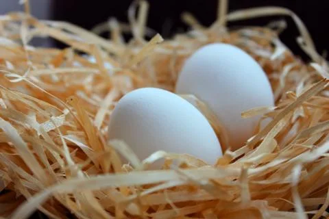 Two white eggs Stock Photos