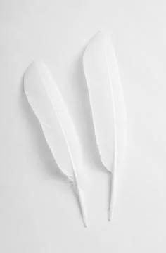 Two white feathers on a white background Stock Photos