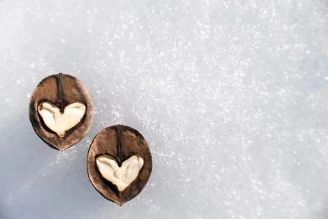 Two white hearts made of walnut halves against background of white snow, concept Stock Photos