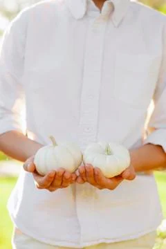 Two White Mini Pumpkins Held by a Boy Stock Photos