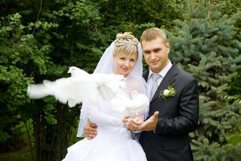 Two white pigeons in hands Stock Photos