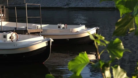 Two White plastic boats on a river at sunny day. Stock Footage 124245193