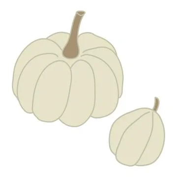 Two white pumpkins in cartoon flat style. Stock Illustration