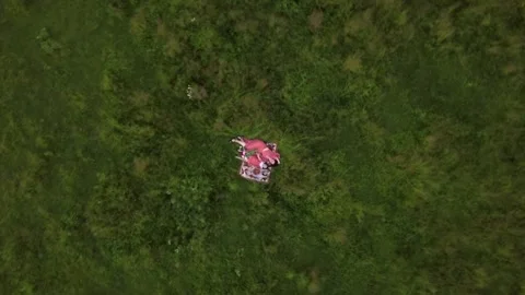 Two white redhead sisters and their mom on a picnic Video stock 218300280