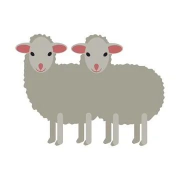 Two white small sheep isolated Stock Illustration