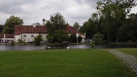 Two white swans with five small gray baby swans are swimming in one line across 스톡 동영상 120541366