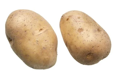 Two white washed potatoes Stock Photos