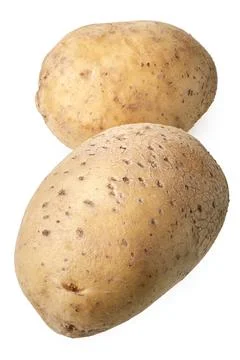 Two white washed potatoes Stock Photos