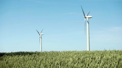 Two white wind turbines in a field with young light green wheat Stock Footage 109961535