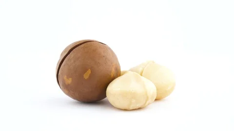 Two whole and one half macadamia nut kernels and one nut inshelled.  Stock Footage 95877874