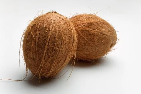 Two whole coconuts Stock Photos