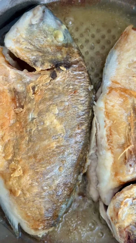 Two whole grilled fish cooking in a frying pan Stock Footage 331974635