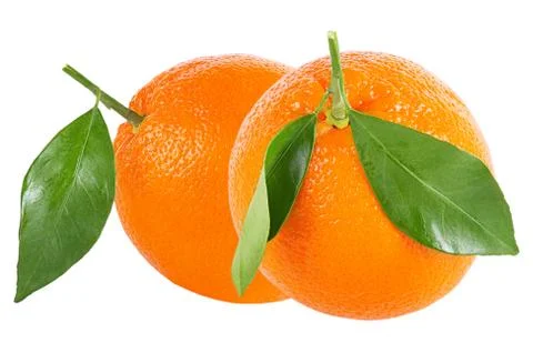 Two whole oranges with leaf isolated on white Stock Photos