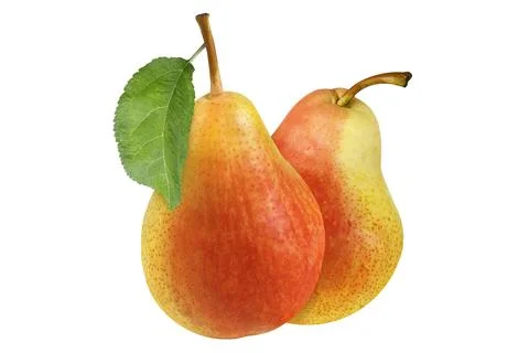 Two whole pears with a leaf on an isolated white background. Stock Photos