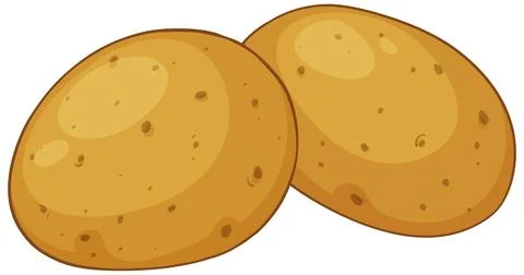 Two Whole Raw Brown Potatoes Vector Illustration Isolated on White Stock Illustration