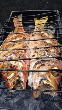Two Whole Red Snapper Fish Grilled on a Barbecue Grill Closeup Stock Photos