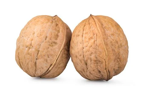 Two whole walnuts Stock Photos