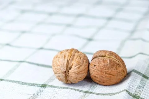 Two whole walnuts Stock Photos