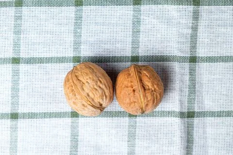 Two whole walnuts Stock Photos