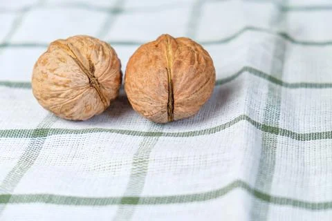 Two whole walnuts Stock Photos