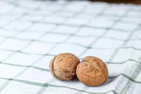 Two whole walnuts Stock Photos