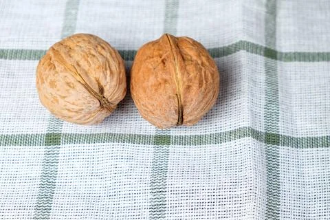 Two whole walnuts Stock Photos