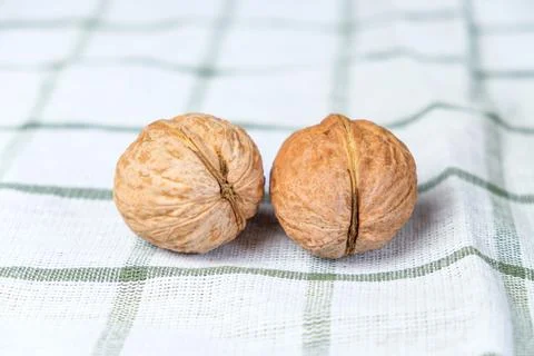 Two whole walnuts Stock Photos
