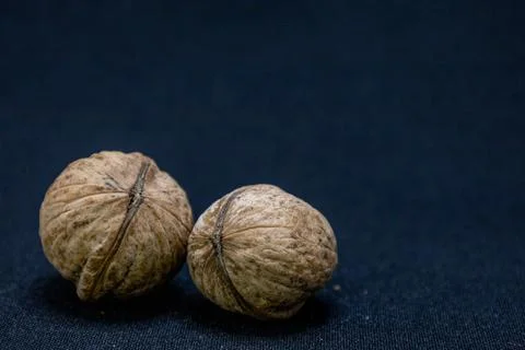 Two whole walnuts rest on a dark blue surface, showcasing their textured shel Stock Photos