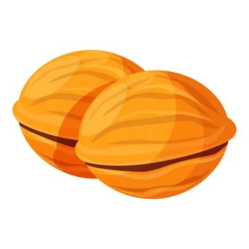 Two whole walnuts in shell lying close together Stock Illustration