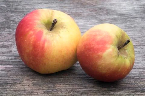 Two wild apples Stock Photos