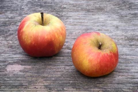 Two wild apples Stock Photos