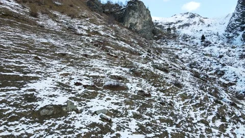 Two wild chamois (animals) running in snowy mountain. Wildlife drone flight, 4K Stock Footage 148031490